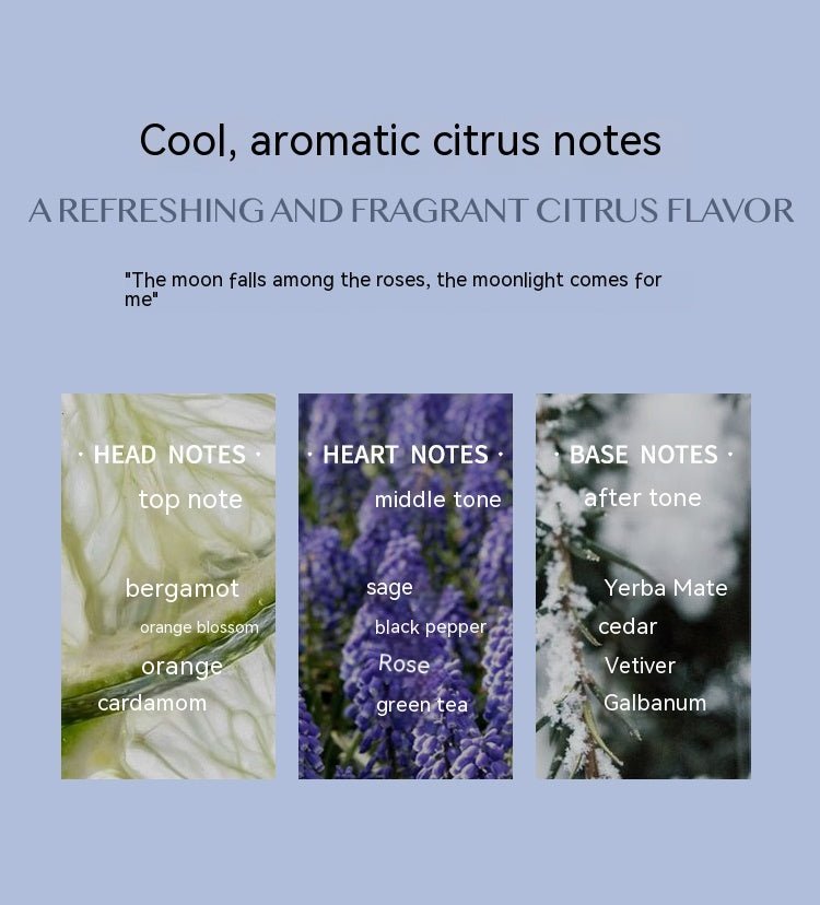 Aromatic Citrus Aromatic Perfume